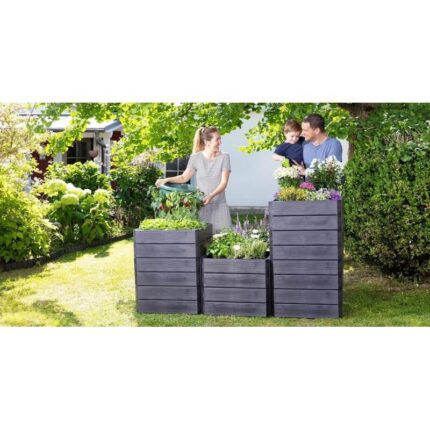 pakelta lysve ergo quadro - kelios versijos